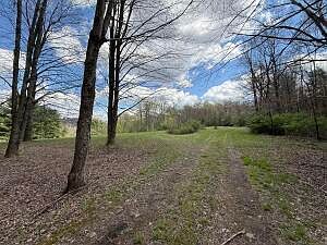 5th image of 169 Kilmer Rd