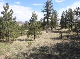 2743 Wagon Wheel Rd #324, Hartsel, CO 80449