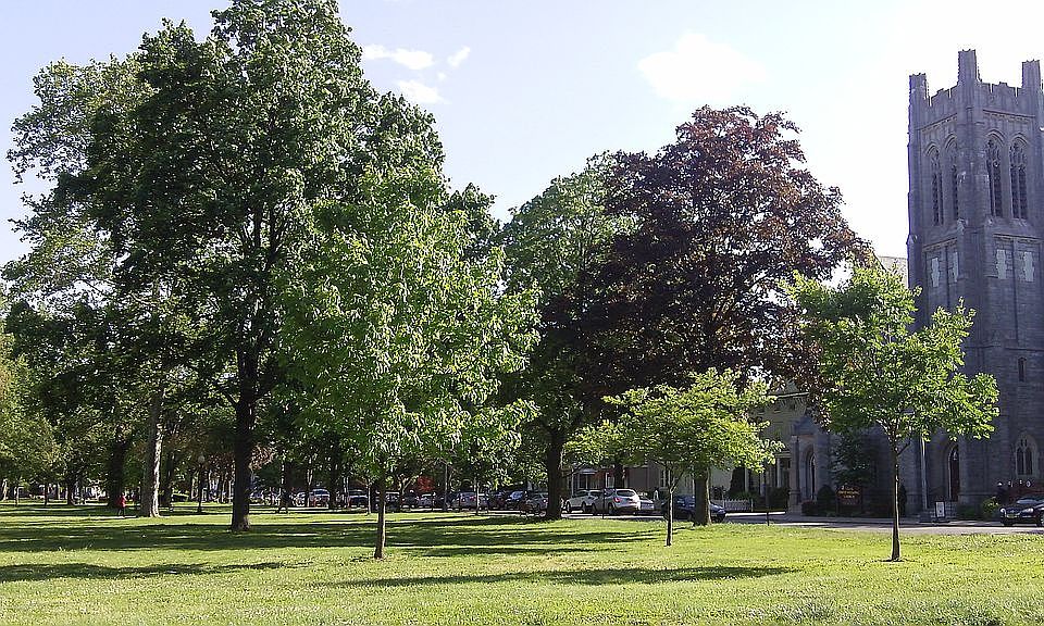 The Green at the Center