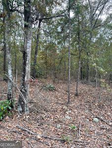8912 & 8912A Moores Chapel Rd, Mauk, GA, 31058