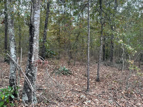 8912 & 8912A Moores Chapel Rd, Mauk, GA 31058