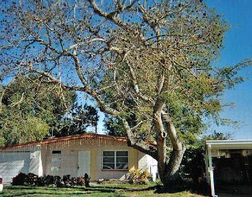 1st image of 6413 N Cameron Ave