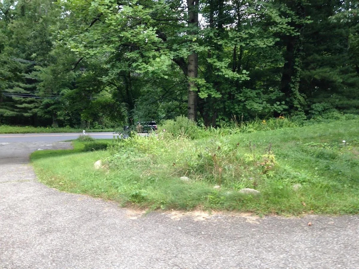 4 bed, 2240 sqft, $4,250 — Photo 4