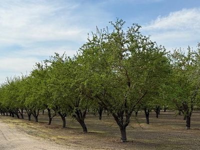 Leedom & Mount View Road Cor, Hughson, CA, 95326