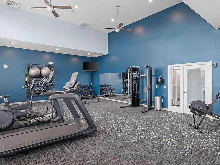 Professional Fitness Center