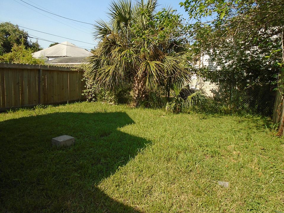 Back yard