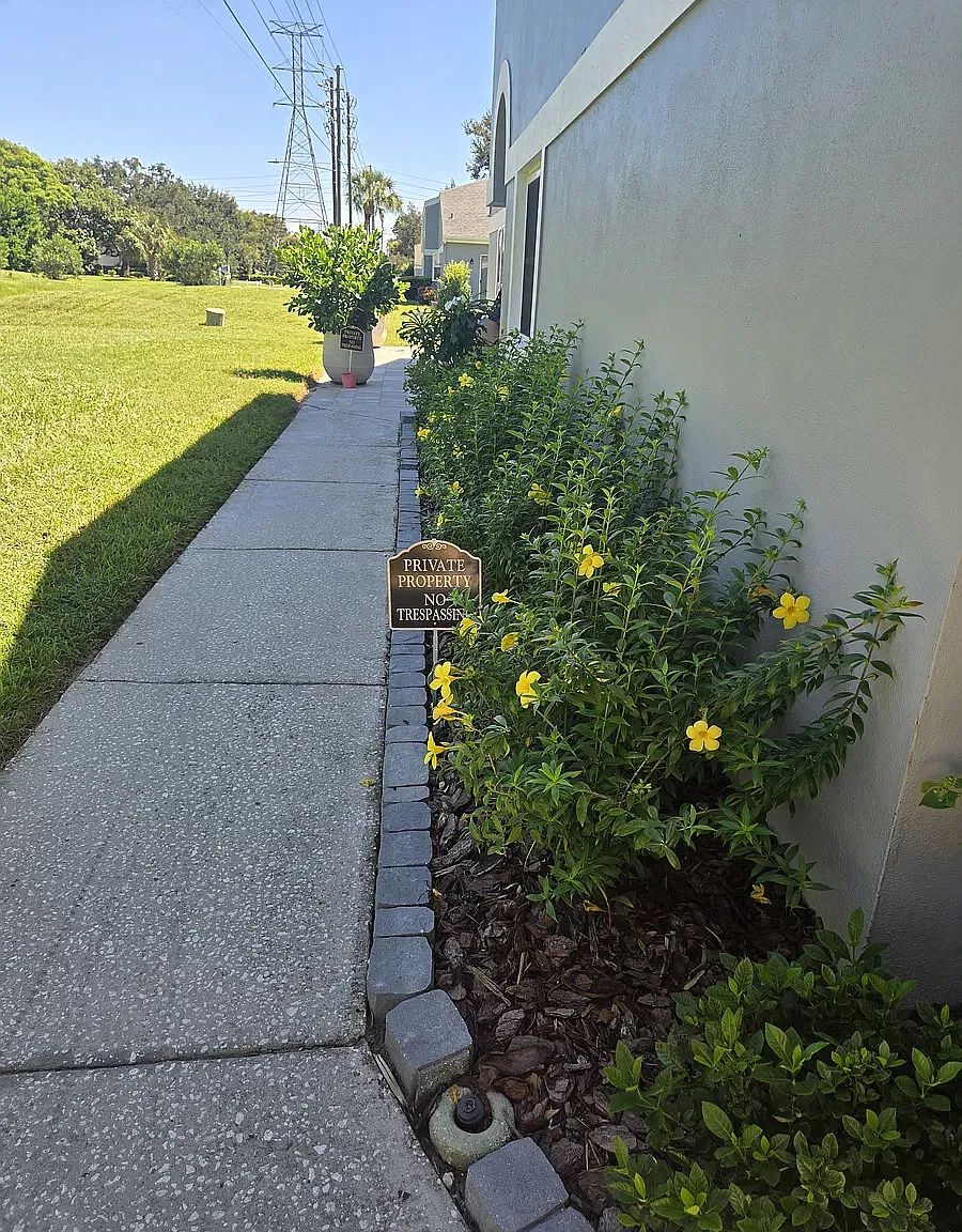 Cadhay Ct, Safety Harbor — Photo 4