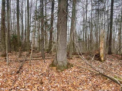 Lot 2 Canaan Hill Road, Canaan, VT, 05903