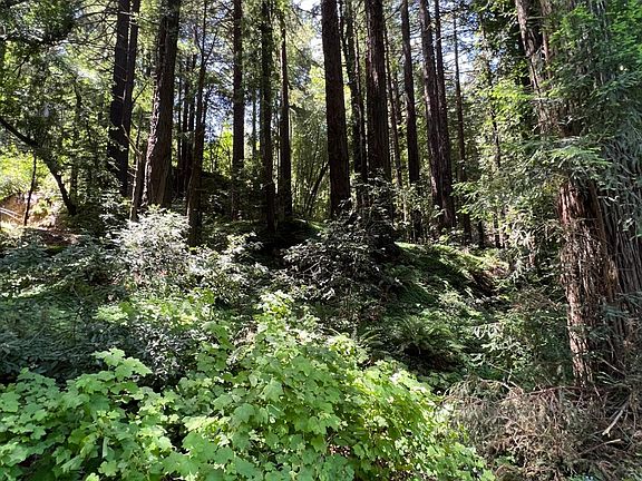 5th image of 785 Cazadero Hwy
