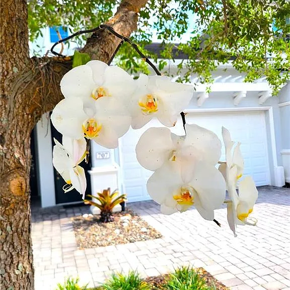 6954 Avalon Cir #703 — Photo 17