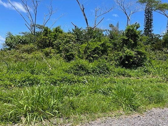 3rd image of 23rd Avenue Naupaka Lot 1152