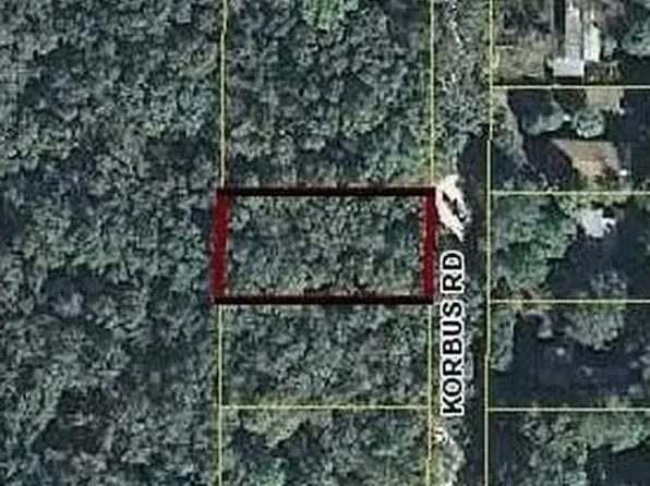 397 Korbus Rd, Masaryktown, FL 34604