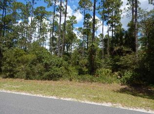 Tbd Sugar Hill Rd, Steinhatchee, FL 32359