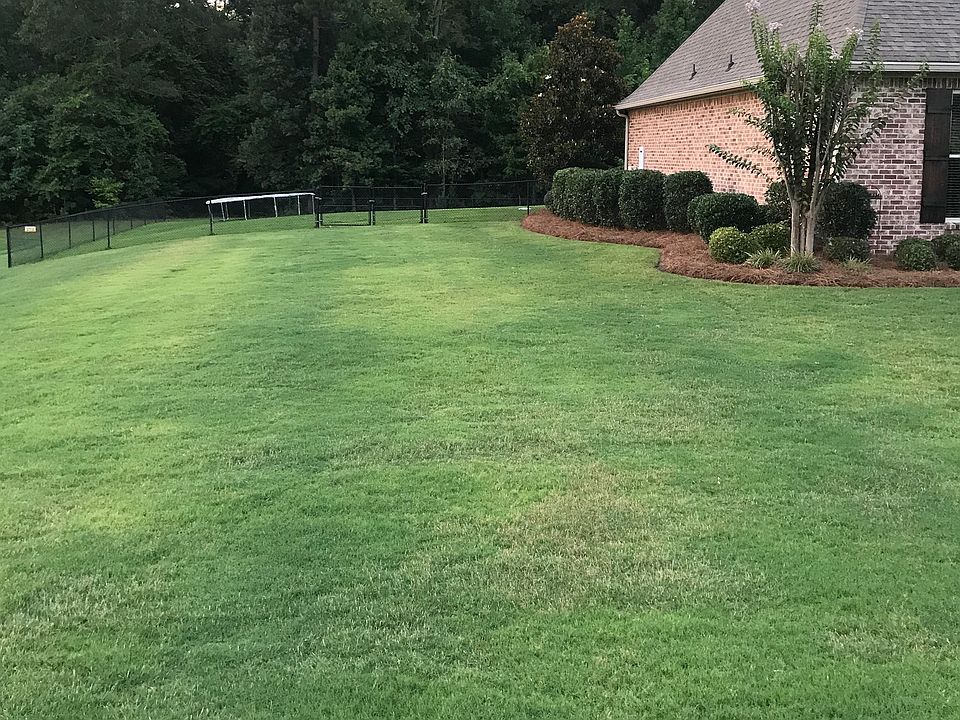 2nd image of 1002 Longwood Pl