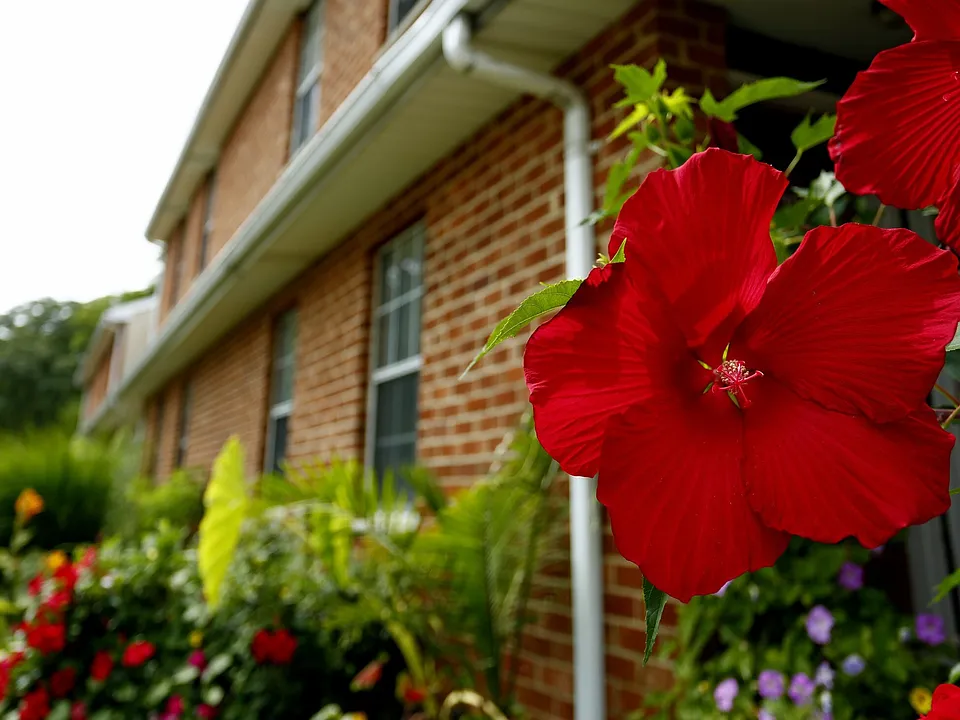 Sturwood Hamlet Apartments