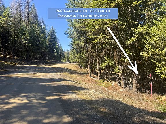 3rd image of 766 Tamarack Ln