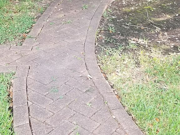 Paver walkway 