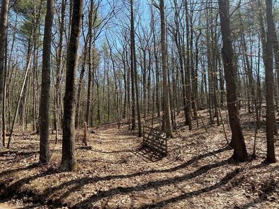 LOT 4 January Hills Rd, Shutesbury, MA, 01072