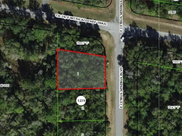 2177 E Citrus Springs Blvd, Citrus Springs, FL 34434