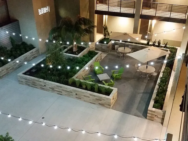 Olea — Photo 12
