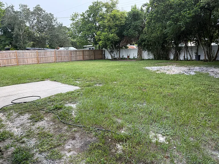 Backyard