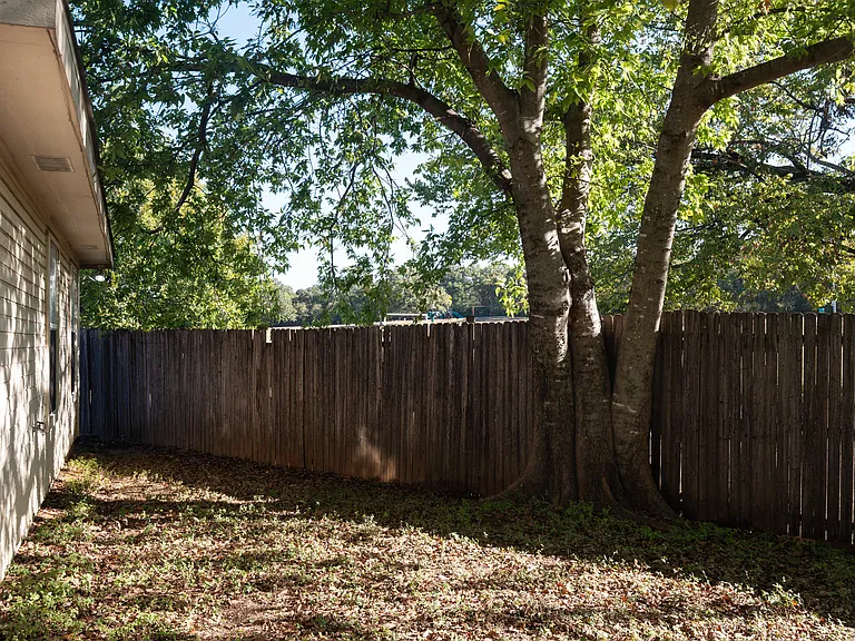 Back yard