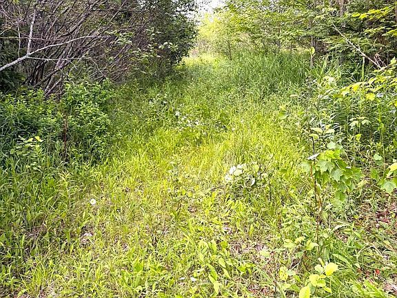 5th image of Wittenburg Rd Lot 1