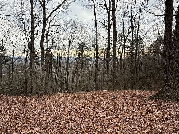 2nd image of 8 Westmoreland Rd