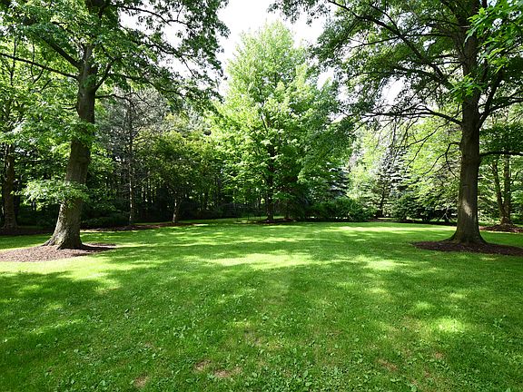 Mature wooded perimeter