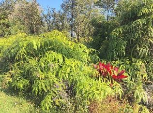 Palaninui Ave, Mountain View, HI 96771