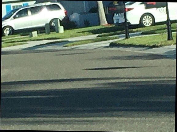 5th image of 205 Hemingway Dr
