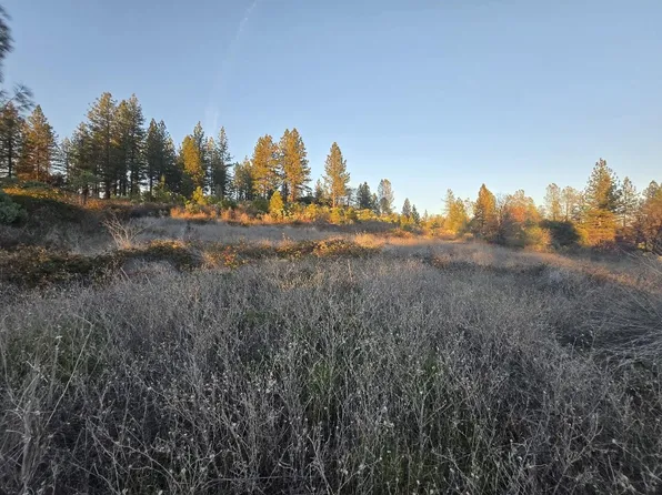 Donkey Mine Rd, Oak Run, CA 96069