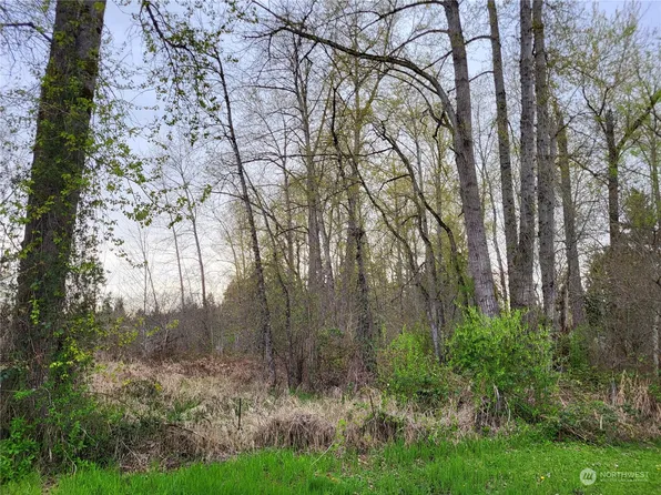 0 Bingham Avenue E, Tacoma, WA 98446