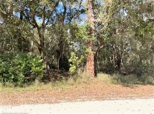 2214 N West Shore Dr, Avon Park, FL 33825