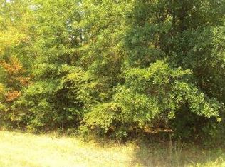 155 Lakeshore Dr N, Ivey, GA 31031