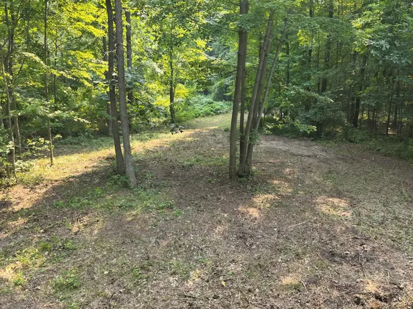 Frushour Dr Lot Wp001, Holly, MI 48442