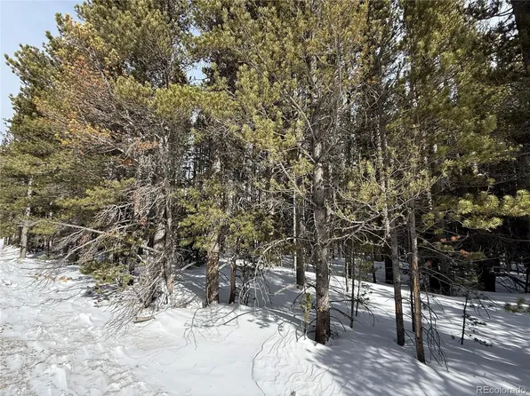 Lot 105 Deer Road, Idaho Springs, CO 80452