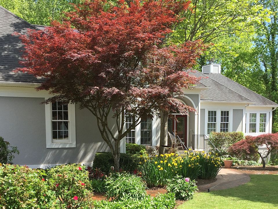 Yard of Month / cut flowers 