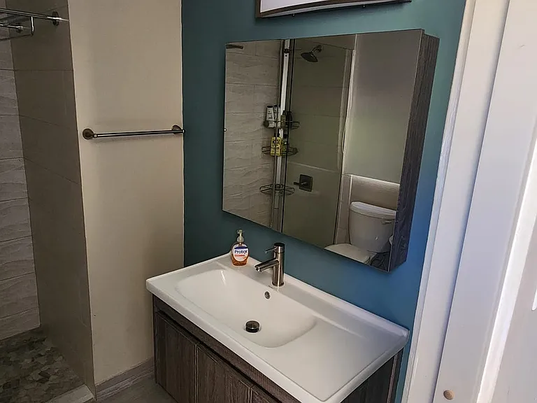 C4 La Jolla Palmas Del Mar Dr — Photo 19