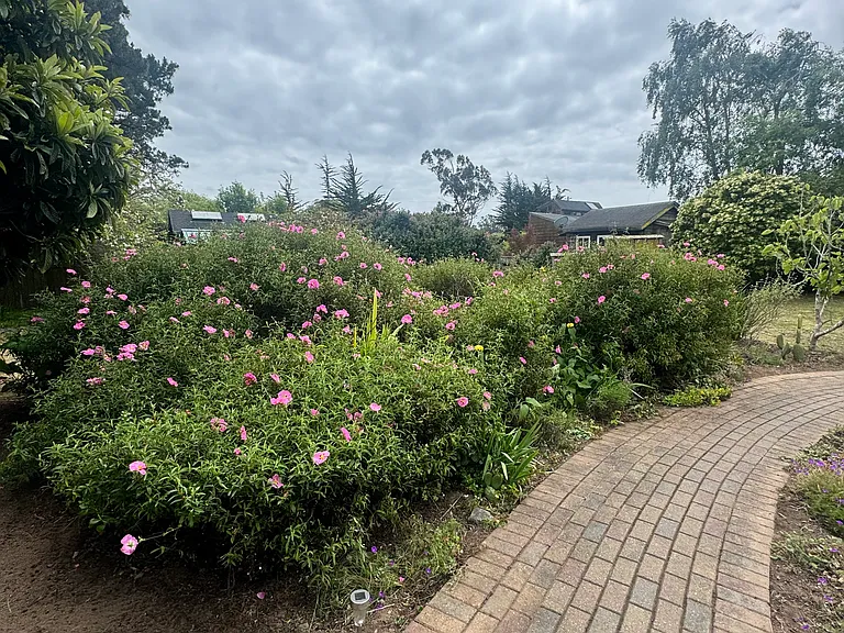 415 Evergreen Rd — Photo 2