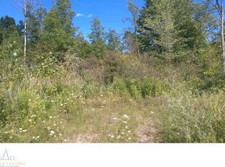 0 Zimmer Pl, Williamston, MI 48895