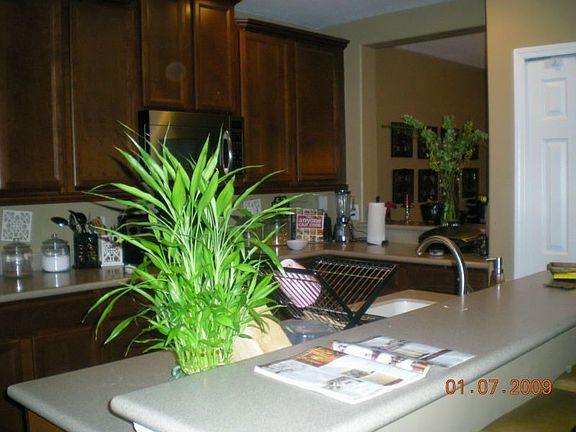 3rd image of 2062 Cypress Bay Blvd
