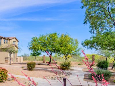 620 W Paseo Celestial, Sahuarita, AZ, 85629