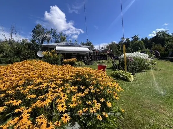 2 Alexander Ave, Kawartha Lakes, ON K0M 1L0