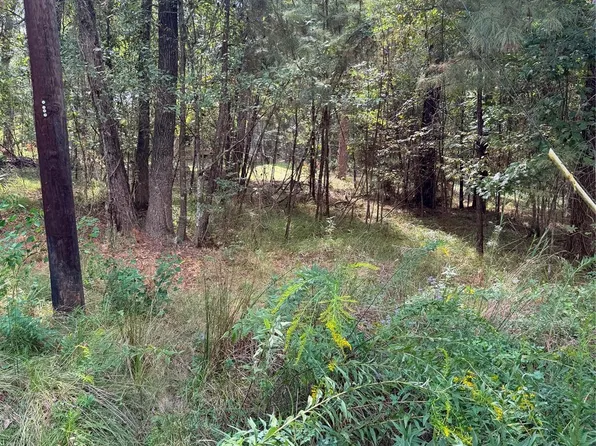 Honeysuckle Lot 1, Livingston, TX 77351