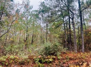 Hinson Rd, Tylertown, MS 39667