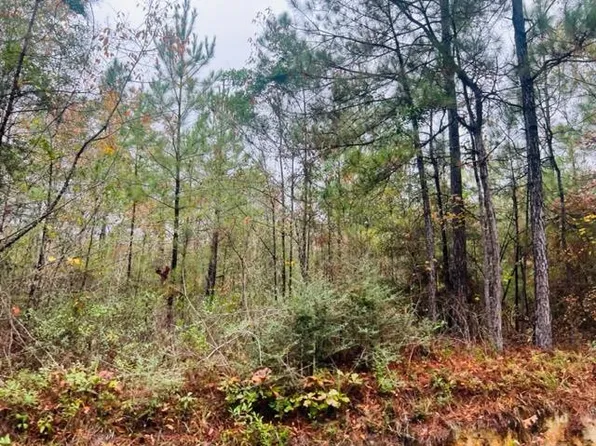 Hinson Rd, Tylertown, MS 39667