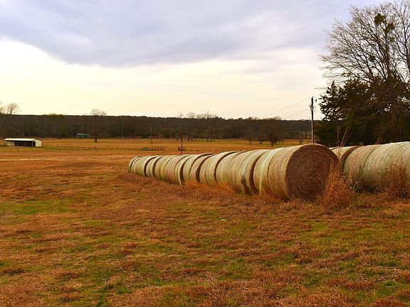 Photo Jan 07 2026 2 51 59 Pm Edited 