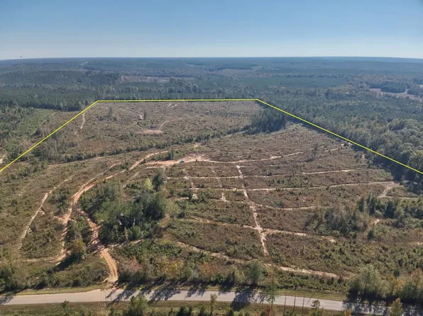 97/ACRE S County Road 54, Abbeville, AL 36310