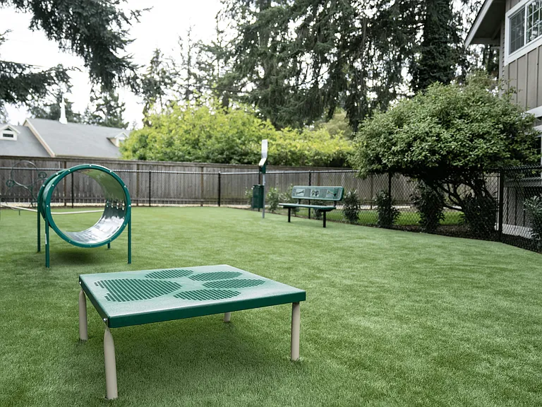 Explore Stonegate Apartments